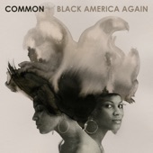 Letter To The Free (feat. Bilal) by Common