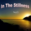 In the Stillness