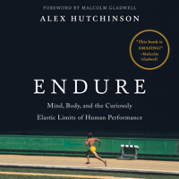 Alex Hutchinson - Endure artwork