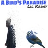 A Bird's Paradise