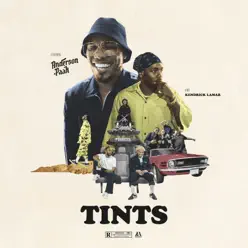 Tints (feat. Kendrick Lamar) - Single - Anderson .Paak