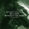 No Light Without the Dark (Mr. Bizz Remix) - Anthony Castaldo lyrics