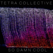 Tetra Collective - So Damn Cool