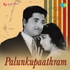 Palunkupaathram (Original Motion Picture Soundtrack) - EP