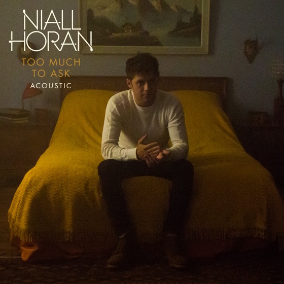 Cover artwork for Too Much To Ask