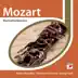 Mozart: Klarinettenkonzert album cover