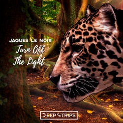Jaques Le Noir - Turn Off the Light (Sandro Marini Remix)