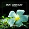 Ammunition (Fort Arkansas Remix) - Dont Look Now lyrics