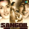 Sangdil (Original Motion Picture Soundtrack)