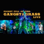 Gangstagrass - Barnburning