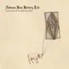 Advance Base Battery Life album lyrics, reviews, download
