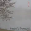 Peaceful Tranquility - EP album lyrics, reviews, download
