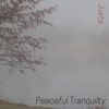 Peaceful Tranquility - EP