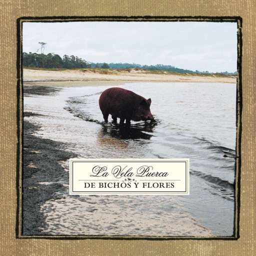 Album artwork
