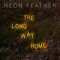 The Long Way Home (feat. David Dunn) artwork