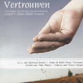 Vertrouwen artwork