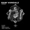 Hooked (Pablo Caballero Remix) - Raw Vandalz lyrics