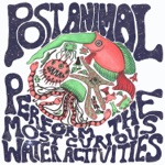 Goggles by Post Animal