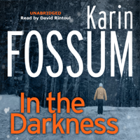 Karin Fossum - In the Darkness artwork