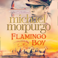 Michael Morpurgo - Flamingo Boy artwork