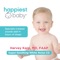 Moderate – Gradually Guides Your Baby to Calm - Dr. Harvey Karp lyrics