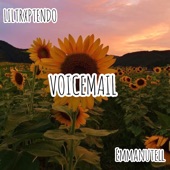 VoiceMail (feat. Emmanutell) artwork