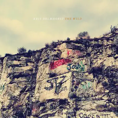 The Wild - Kris Delmhorst