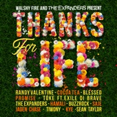 Walshy Fire & the Expanders Present Thanks for Life artwork