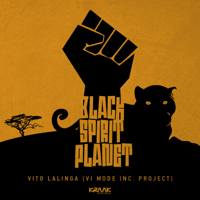 Vito Lalinga (Vi Mode Inc. Project) - Black Spirit Planet artwork