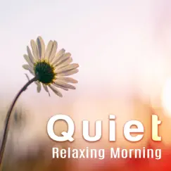 Quiet Relaxing Morning: 50 Soothing Songs for Wake Up Happy & Mental Well-Being, Instrumental New Age for Positive Thinking, Calm Down & Relax by Various Artists album reviews, ratings, credits