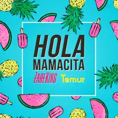 Hola Mamacita - Single by ZadeKing & Temur album reviews, ratings, credits