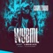 WYBML (feat. Limoblaze) - Charlz Dogo lyrics