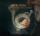 Concerto pastorale for Strings & Basso continuo in G Major: IV. Lento artwork