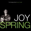 Joy Spring: The Swinging Side Of Larry Coryell, 2005