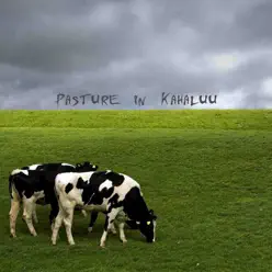 Pasture in Kahaluu - Single - Dyonisos