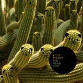 Luke Vibert - We Hear You