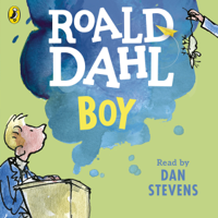 Roald Dahl - Boy artwork