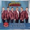 Gracias por Estar Conmigo - Conjunto Primavera lyrics