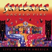 Sacred Fire: Live In South America artwork