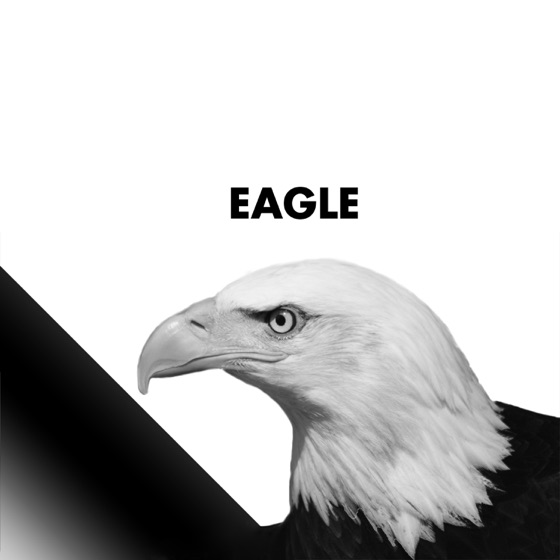 Cover artwork for Eagle