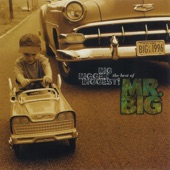 Big, Bigger, Biggest! The Best of Mr. Big artwork