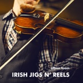 Irish Jigs n' Reels artwork