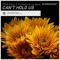 Can't Hold Us (feat. Pascalidis & Jay Marie) - Ryan Paul lyrics