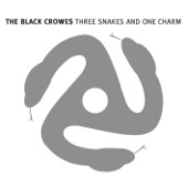 The Black Crowes - (Only) Halfway To Everywhere