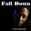 Fall Down - Single