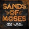 Sands of Moses artwork