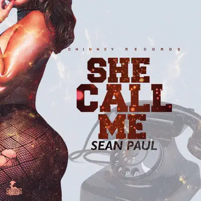 She Call Me - Single - Sean Paul