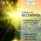 Symphony No. 4 in B-Flat Major, Op. 60: IV. Allegro ma non troppo artwork