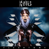 Kelis - Flesh Tone artwork