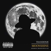 Moonshine artwork